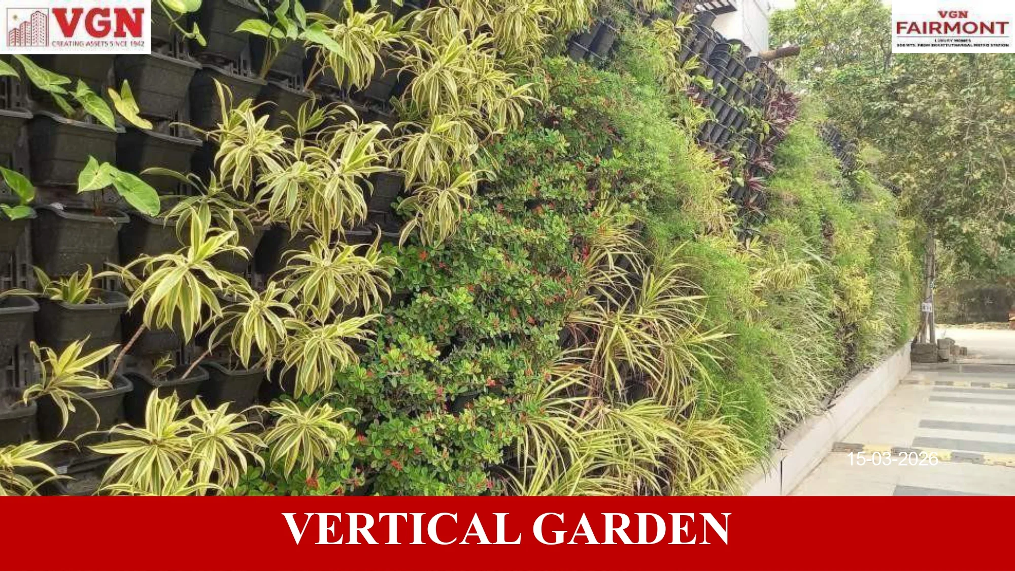 vgn fairmont - vertical garden 